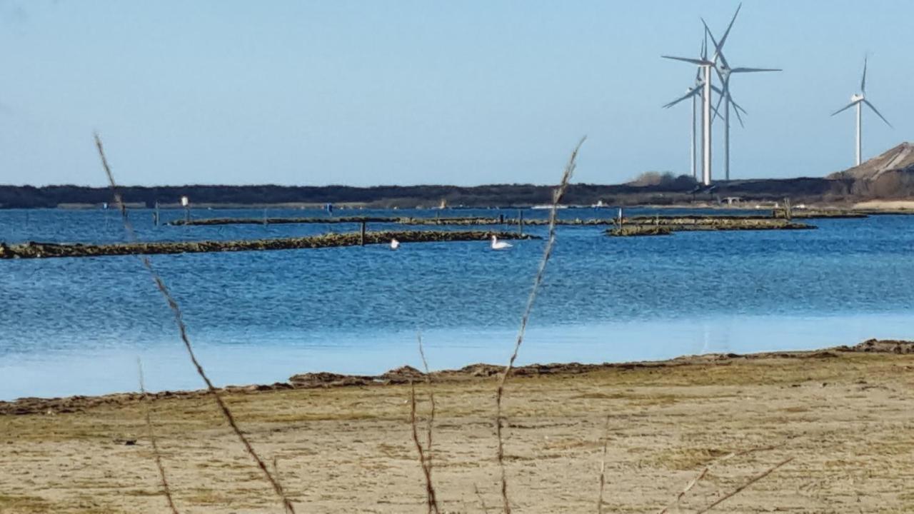Beach Lodges Oostvoorne Exterior foto